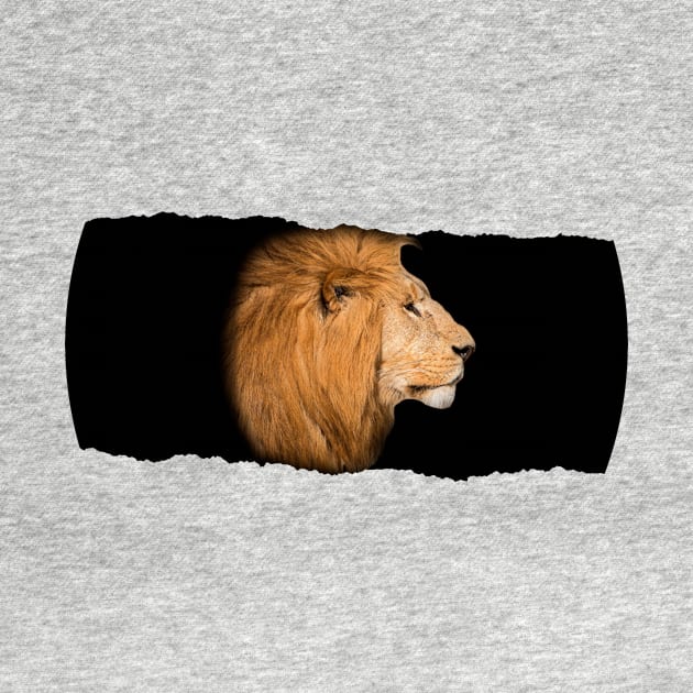 Lion Behind Broken Wall by MuskegonDesigns